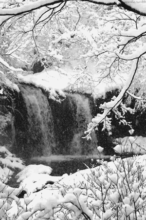 自然 瀑布 森林 小雪 雪花 洁白