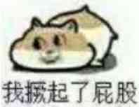 我撅起了了屁股