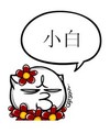 装逼 喵星人 猥琐 小白