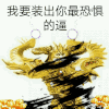 我要装出你最恐惧的逼 金馆长 旋风 金黄色