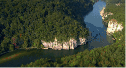 多瑙河 多瑙河-欧洲的亚马逊 森林 纪录片 茂密 风景