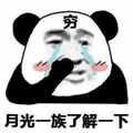 穷 月光 熊猫头