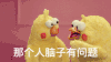 鹦鹉兄弟 说话 那个人脑子有问题