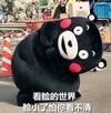 看脸的世界 脸小了 怕你看不清 熊本熊