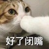 萌宠 喵星人 好了 闭嘴 搞怪 逗