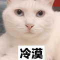 冷漠 猫 生气