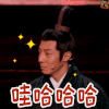 国家宝藏 撒贝宁 哈 soogif soogif出品