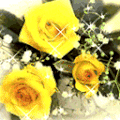 黄色  动图 鲜花 漂亮