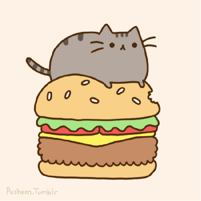 汉堡包 猫咪 可爱 美食