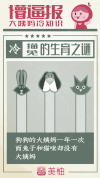 兔子 冷知识 狗狗 猫咪 懵逼报
