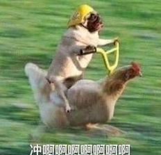 搞笑 沙雕 魔性 文字表情包 大杂烩