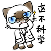 猫咪 萌宠 搞笑 这不科学