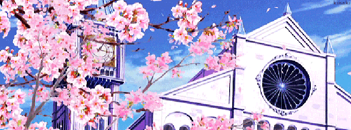樱花 时钟 落叶 美丽