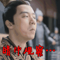 大军师司马懿之军师联盟 暗中观察