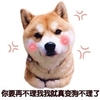 狗狗 红脸蛋 你要再不理我 我就真变 狗不理了