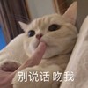 萌宠 猫星人 别说话 吻我 邀请 搞怪 呆萌