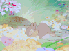 小鹿斑比 兔子 春天 动画 bambi