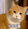 萌宠 喵星人 不不不要 嫌弃 呆萌 可爱