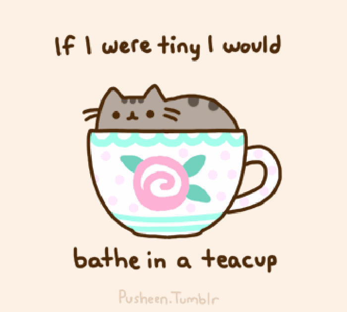 猫咪 茶杯 可爱