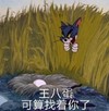 大杂烩 文字表情包 搞笑 沙雕 魔性