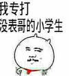 无赖 流氓 装逼 我专打没表哥的小学生
