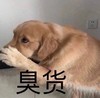 萌宠 汪星人 臭货 嫌弃 搞怪 呆萌