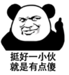 暴漫 文字表情包 挺好一小伙就是有点傻 搞笑 逗 沙雕