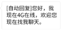 自动回复 状态表情包 您好我现在4G在线