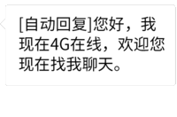 自动回复 状态表情包 您好我现在4G在线