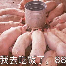 猪 吃饭 88