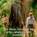 电影 迪士尼 大象 丛林中的乔治 布兰登fraiser