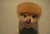 博美犬