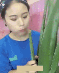 女人 吃芦荟 有才 搞笑