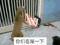 喵星人 打架 你们在屌一下 设计 卡通