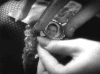 手指 照片 男神 可爱
