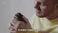 狗狗 萌宠 二哈 可爱 汪星人