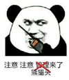 暴漫 文字表情包 注意注意熊猫头来了 搞怪 逗 魔性