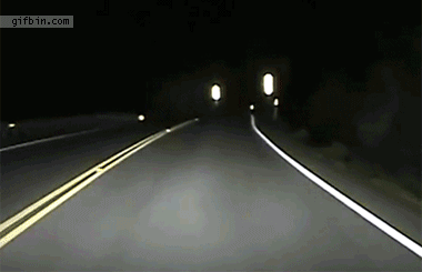 公路 晚上 撞 逃
