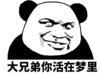 金管长 熊猫头 笑容 大兄弟 你活在梦里