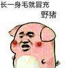 小猪猪 长一身毛 冒充野猪 斗图 搞笑 猥琐