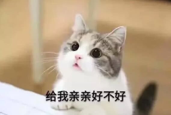 萌宠 猫星人 给我亲亲好吗 可爱 呆萌
