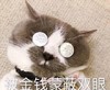 萌宠 喵星人 被金钱蒙蔽双眼 金币 搞怪 逗