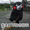 熊本熊 可爱 呆萌 斗图 我走了不陪你们玩了