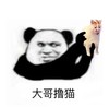 金馆长 猫咪 熊猫头 大哥撸猫