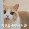 萌宠 猫星人 我就是个受气包呗 无奈 呆萌 可爱