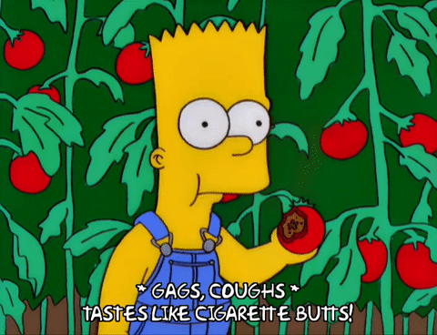 11季 巴特辛普森 5集 11x05 花园 番茄 农民 令人讨厌的 烟头番茄