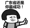 暴漫 文字表情包 广东省还是你最成功 搞笑 逗 沙雕