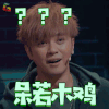 这就是街舞 罗志祥 小猪 呆若木鸡 蒙圈 soogif soogif出品