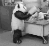 熊猫 发飙 可爱 萌萌的