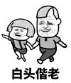 暴漫 文字表情包 白头偕老 搞怪 沙雕 魔性